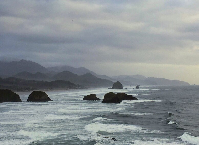 Picture 12 for Activity From Portland: Oregon Coast Day Trip Cannon Beach Area