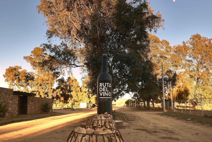 Picture 5 for Activity From Tijuana: Valle de Guadalupe Private Winery Tour