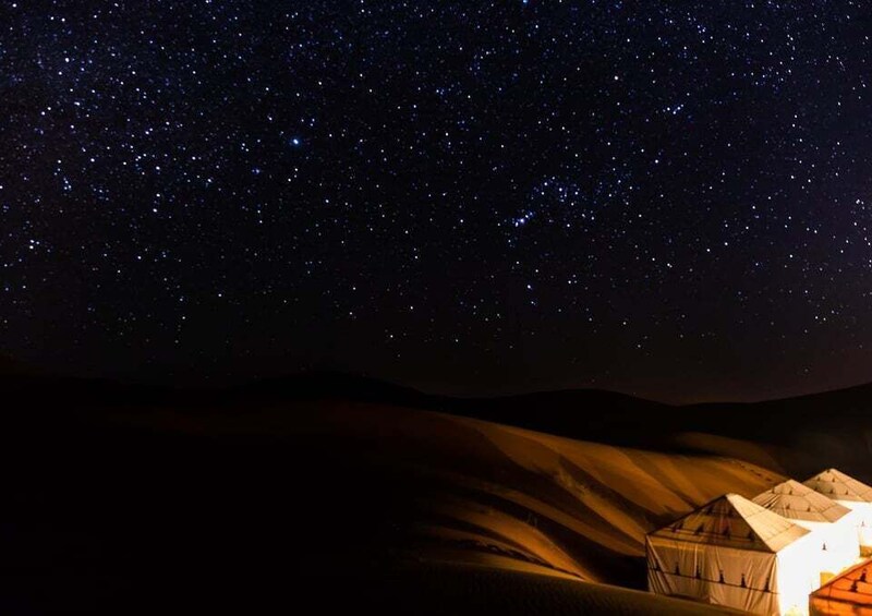 Picture 3 for Activity Doha Night Safari: Dune Bashing & Camel Ride Adventure