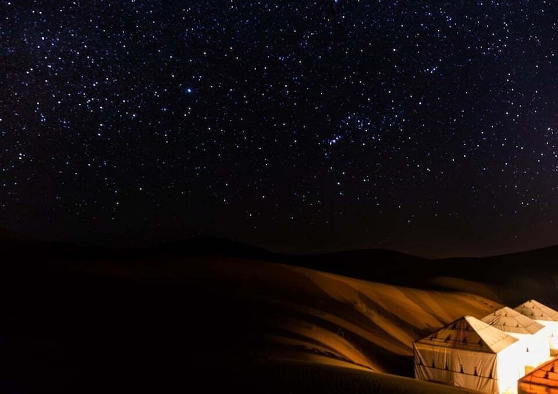 Picture 3 for Activity Doha Night Safari: Dune Bashing & Camel Ride Adventure