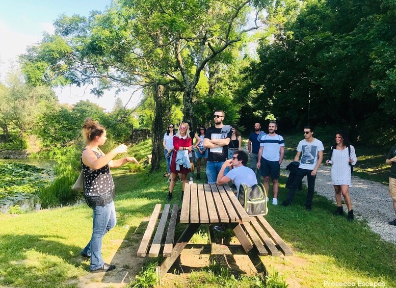 Picture 1 for Activity Trieste: 2.5-Hour Prosecco Origins Tour and Tastings