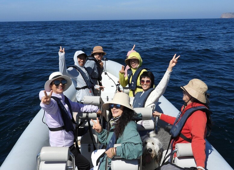 Picture 8 for Activity Arrábida - Sesimbra: Dolphin Watching
