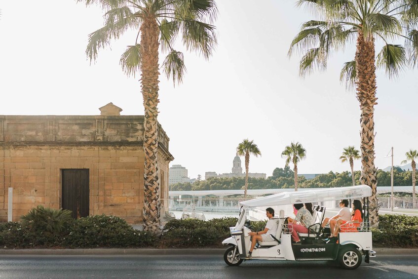 Picture 1 for Activity Malaga: Private City Tour by Eco Tuk Tuk