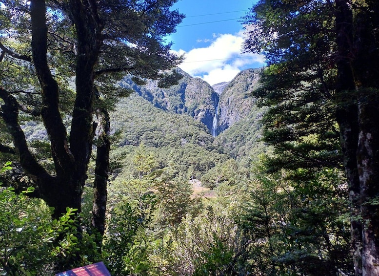 Picture 1 for Activity Christchurch: Arthur's Pass & Castle Hill Scenic Day Tour