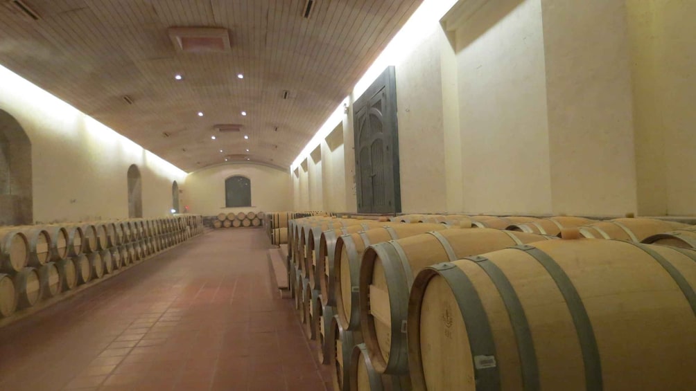 Picture 1 for Activity From Santiago: Concha y Toro Winery Tour with Transfer