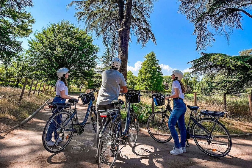 Picture 5 for Activity Lyon: Parc Tête d'Or Bike Tour