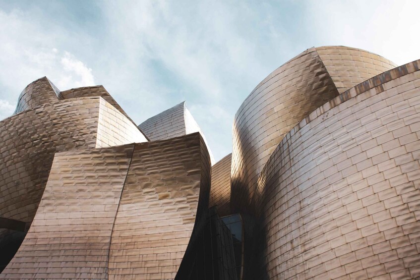 Picture 9 for Activity Bilbao: Guggenheim Museum Tour with Skip-the-Line Tickets