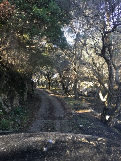 Uncharted Escapes: Land rover Safari Corfu South Route