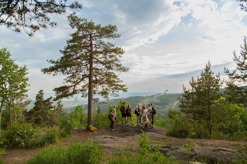 Picture 2 for Activity Oslo: Best View of the Oslofjord Hike