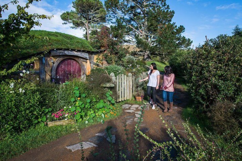Guided Tour