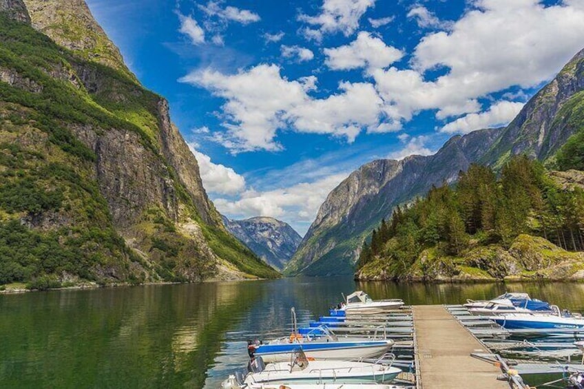 Guided Tour To Nærøyfjorden, Flåm And Stegastein - Viewpoint Cruise