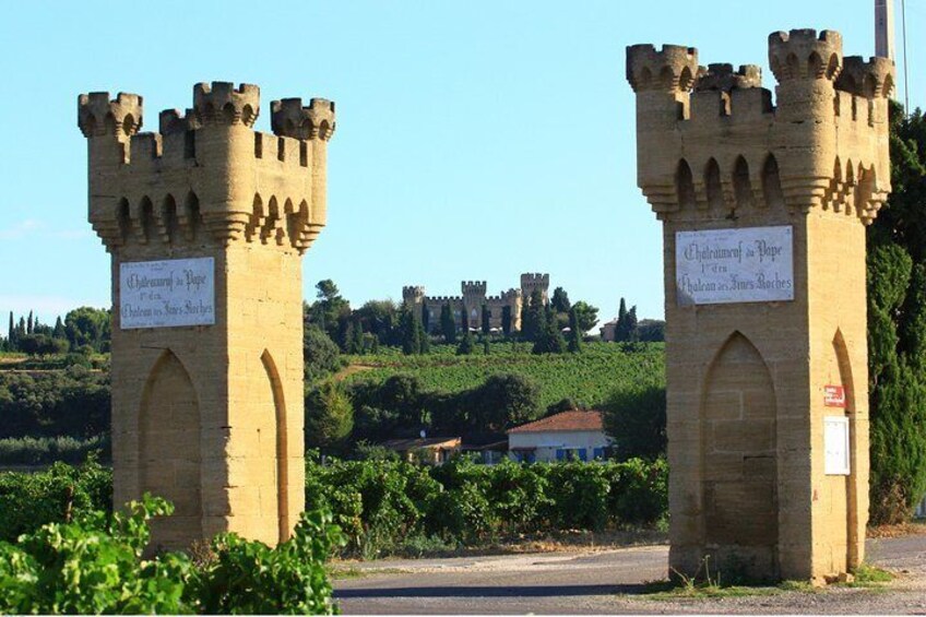Châteauneuf du Pape Wine Day Tasting Tour including Lunch from Avignon
