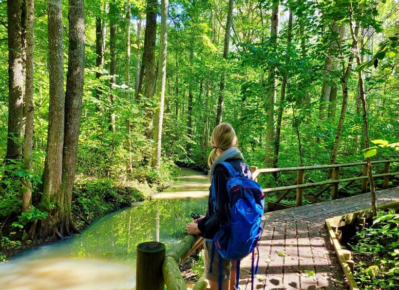 Picture 2 for Activity Riga: Best of Kemeri National Park In One Day
