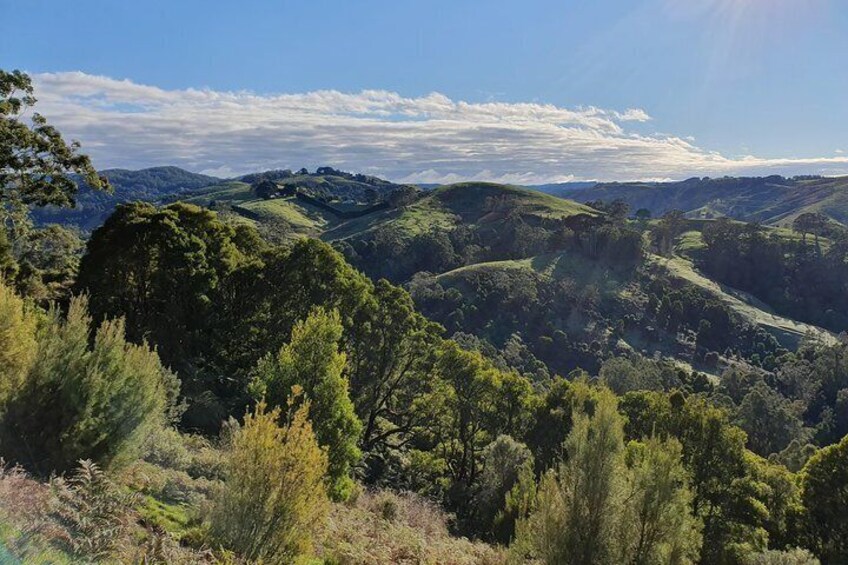 Explore the hills of the Otway Ranges