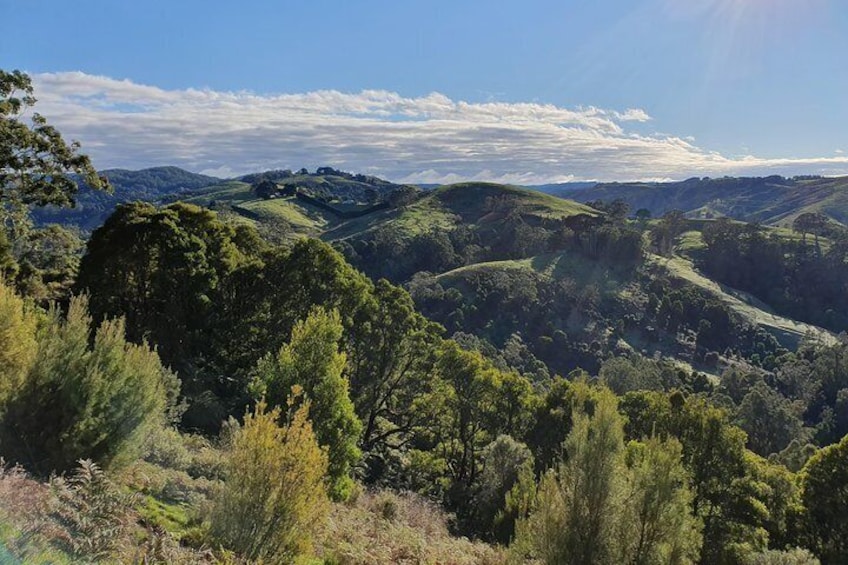 Explore the hills of the Otway Ranges