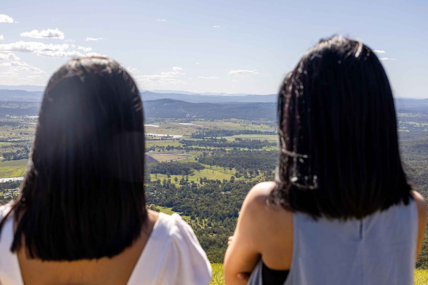 Picture 6 for Activity Gold Coast: Winery Tour with Tastings and 2-Course Lunch