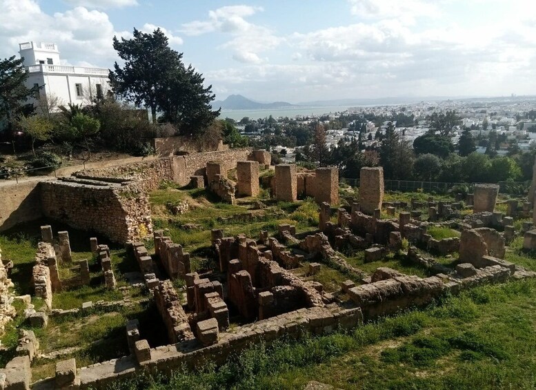 Picture 12 for Activity From Tunis: Half-Day Tour to Carthage and Sidi Bou Said