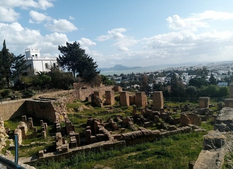 Picture 11 for Activity From Tunis: Half-Day Tour to Carthage and Sidi Bou Said