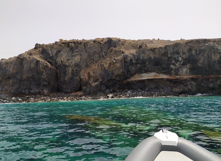 Picture 7 for Activity Tenerife: Underwater Lava Tongues Snorkel Excursion