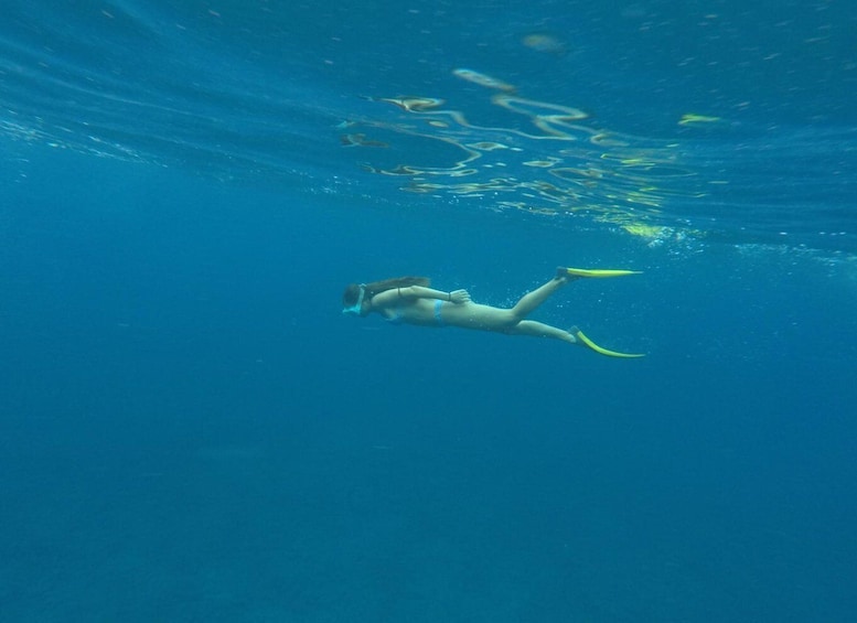 Picture 12 for Activity Tenerife: Underwater Lava Tongues Snorkel Excursion