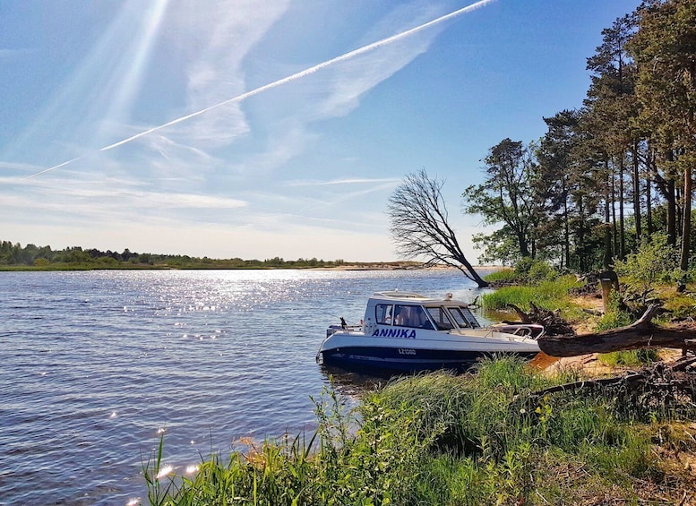 Picture 3 for Activity From Riga: Four Natural Ecosystems In One Hike