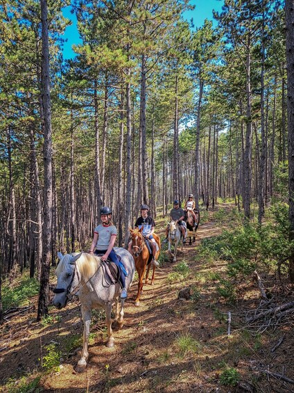 Picture 15 for Activity From Split: Full-Day Horse Riding & Quad Biking with Lunch