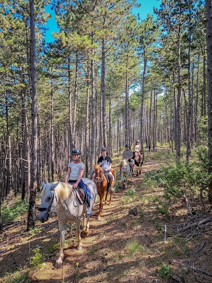 Picture 15 for Activity From Split: Full-Day Horse Riding & Quad Biking with Lunch