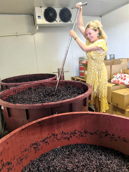 Hunter Valley Wine, Gin, Cheese & Chocolate Tour inc Lunch