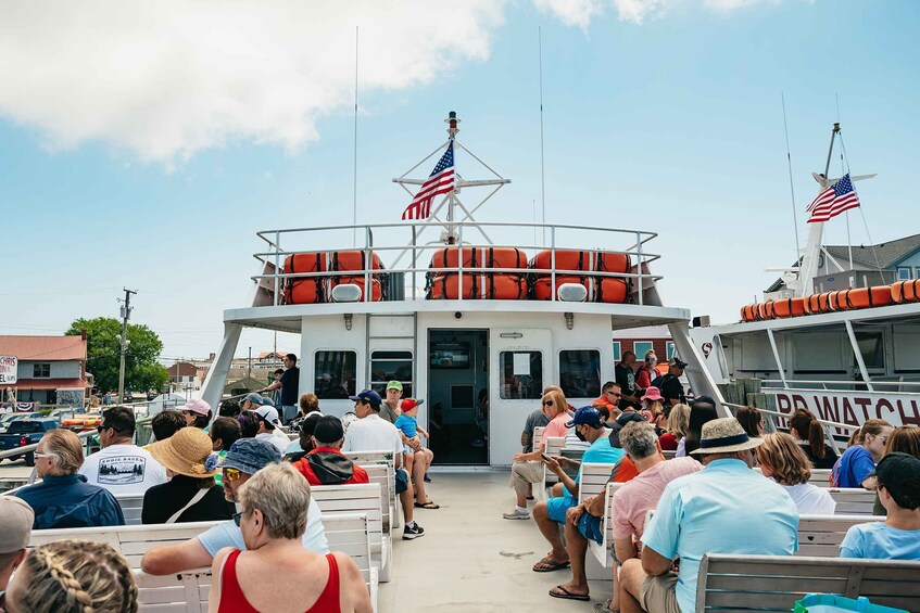Picture 2 for Activity Cape May: Jersey Shore Whale and Dolphin Watching Cruise