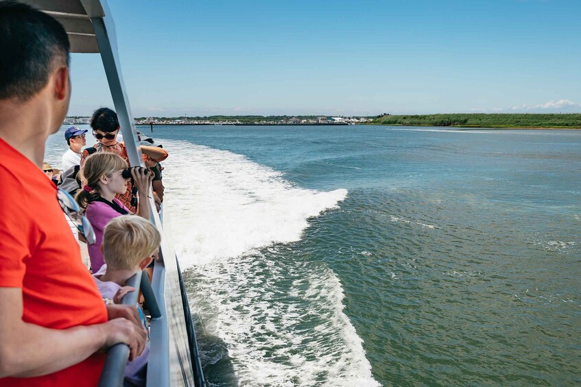 Picture 10 for Activity Cape May: Jersey Shore Whale and Dolphin Watching Cruise