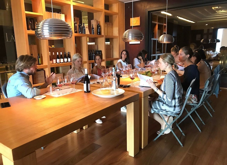 Picture 2 for Activity Lake Garda: Wine Tour and Tasting Experience in Bardolino