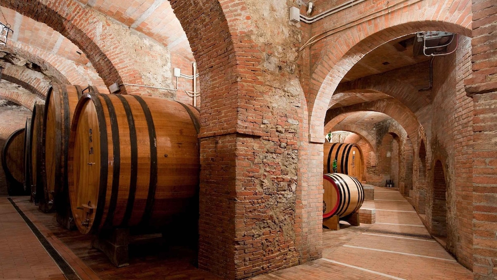 Picture 2 for Activity Montepulciano: Wine Tasting & Lunch in a Typical Winery