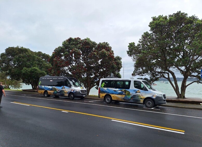 Picture 4 for Activity Auckland: Cathedral Cove, Hot Water Beach & Coromandel Tour