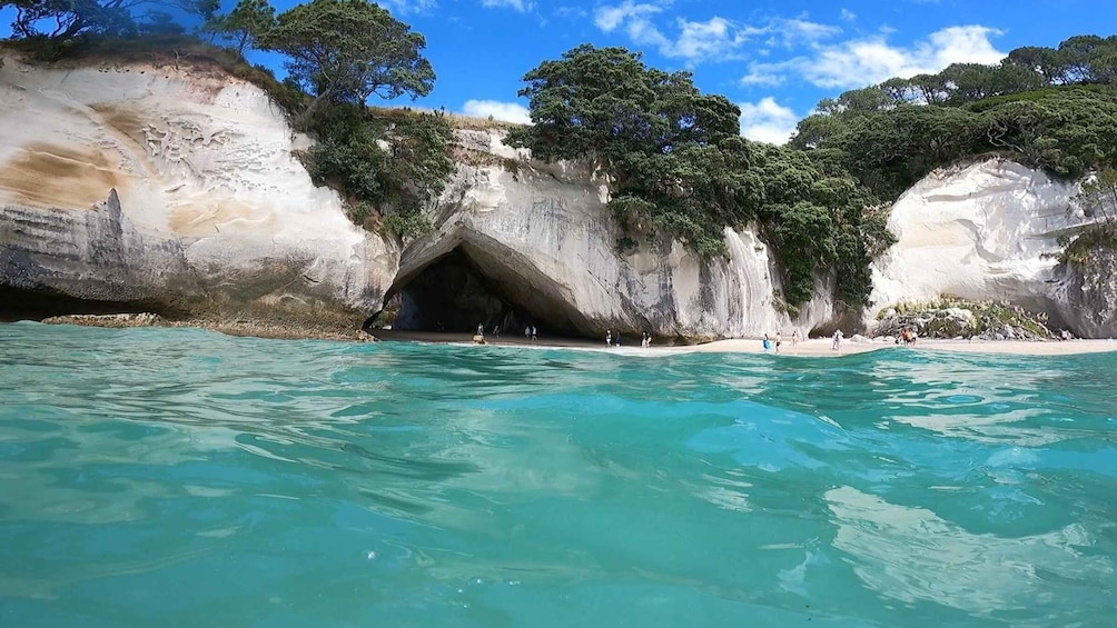 Auckland: Cathedral Cove, Hot Water Beach & Coromandel Tour