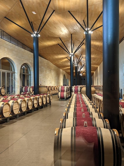 Picture 1 for Activity From Bordeaux: Private Wine Tour in Medoc