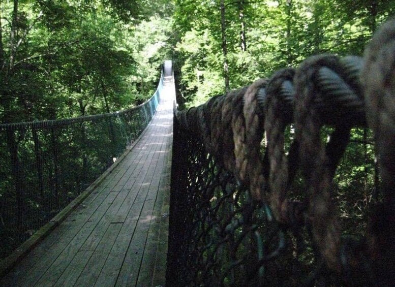 Picture 12 for Activity Foxfire Mountain: Hiking & Swinging Bridge Family Adventure