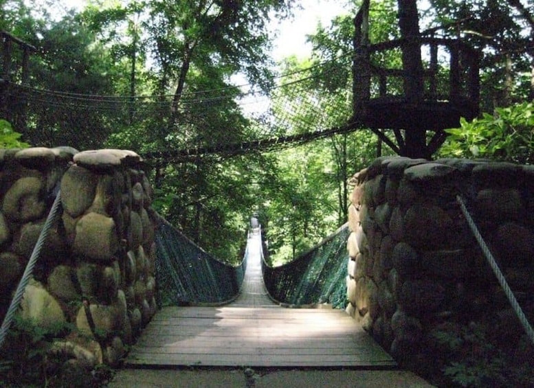 Picture 11 for Activity Foxfire Mountain: Hiking & Swinging Bridge Family Adventure