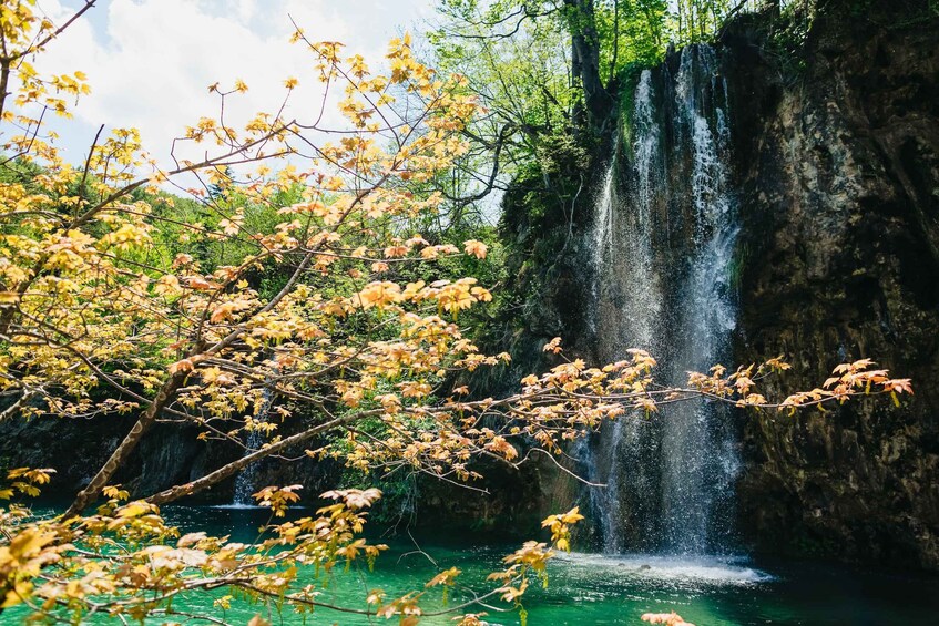 Picture 16 for Activity From Split or Trogir: Plitvice Lakes Tour with Entry Tickets