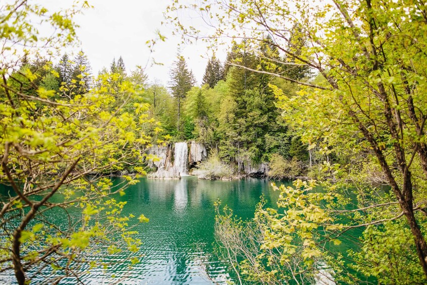 Picture 10 for Activity From Split or Trogir: Plitvice Lakes Tour with Entry Tickets