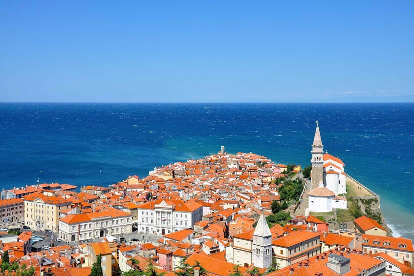 Picture 7 for Activity Ljubljana: UNESCO-Listed Škocjan Caves and Piran Day Trip