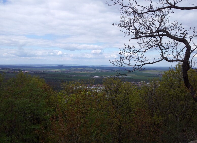 Picture 2 for Activity Harz Mountains Day Trip