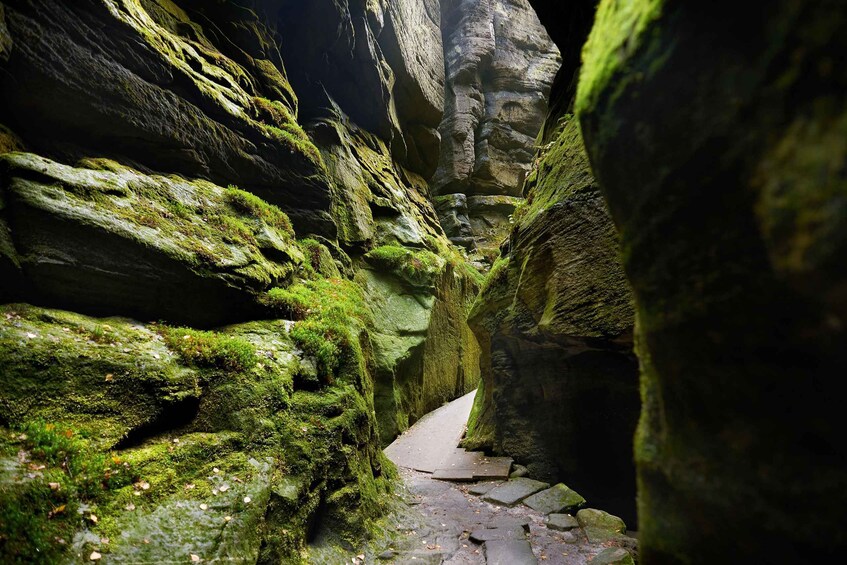 Picture 7 for Activity From Wroclaw: Hiking Trail in Rock City