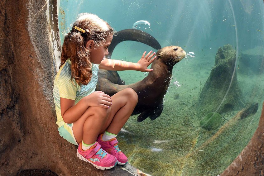 Picture 4 for Activity Zoo Miami: General Admission Ticket