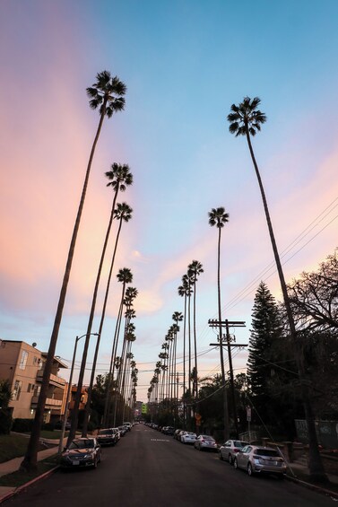 Hollywood Night Tour with Griffith Observatory