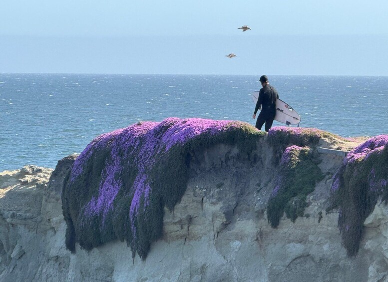 Picture 25 for Activity From San Francisco: Carmel, Monterey & Big Sur Private Tour