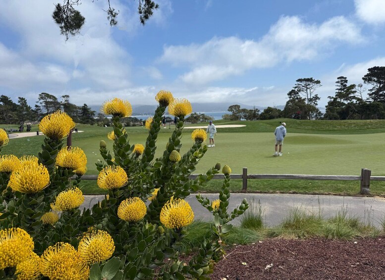 Picture 26 for Activity From San Francisco: Carmel, Monterey & Big Sur Private Tour