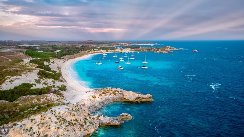 Rottnest Express - Shared Ferry to Rottnest Island from Perth or Fremantle