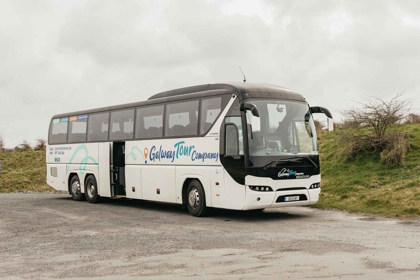 Picture 10 for Activity From Galway: Cliffs of Moher and The Burren Guided Day Trip