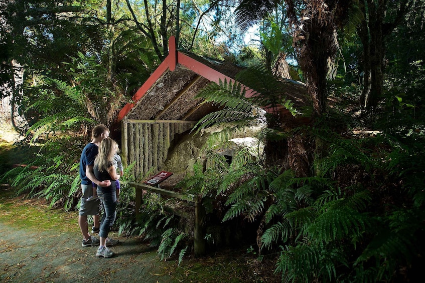Rotorua: The Buried Village of Te Wairoa