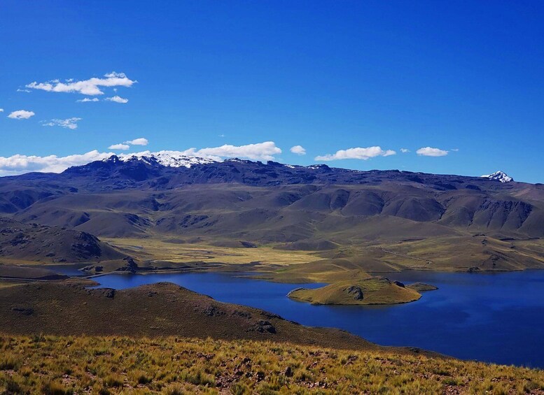 Picture 5 for Activity From Puno: 2-Day Colca Canyon Tour to Arequipa